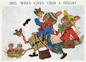 Rabbits: The Bunnies - Mrs Wren gives them a fright