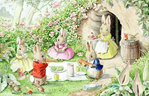 Picnics: The Bunnies Picnic