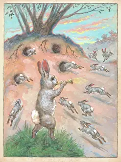 Ellam: Bunnies returning to the warren