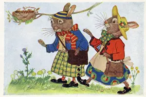Bunny: The Bunnies spot the wrens nest