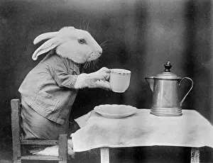 BUNNY COFFEE BREAK
