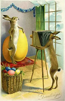 Photographing: Bunny Photographing another Bunny