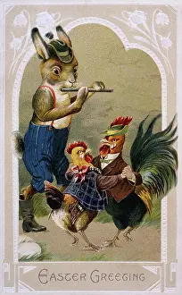 Bunnies: BUNNY AND POULTRY