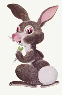 Bunnies: Bunny Rabbit