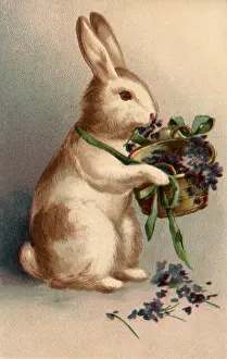 Overflowing: Bunny with Violets