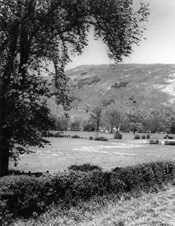 Dovedale: BUNSTER HILL