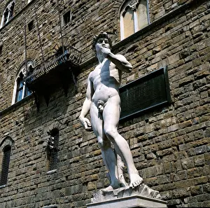 Signoria: Buonarroti, Michelangelo