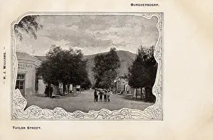 Willson: Burgersdorp, Eastern Cape, Cape Colony, South Africa