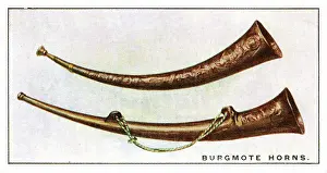 Corporations: Burgmote Horns
