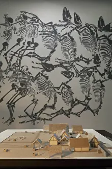 Vercingetorix: Burial ground and model of settlement, Musee Archeologique