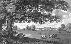 Bucks: BURKE'S HOME, BUCKS