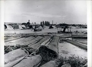 Teak: Burma - Laos - Thailand