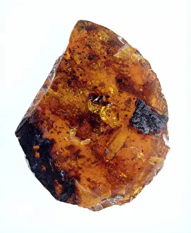 Inclusions: Burmese amber
