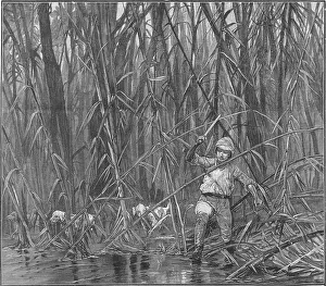 Thicket: IN BURMESE JUNGLE