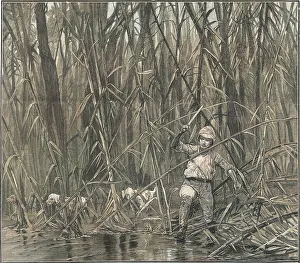 Thicket: IN BURMESE JUNGLE