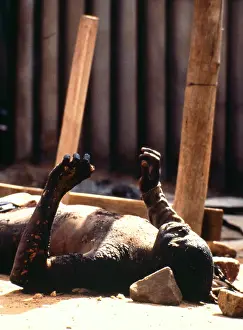 Mortis: The burned body of a man, surrounded by rocks