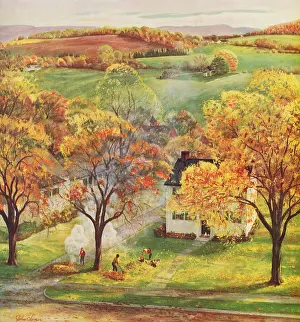 Rake: Burning Autumn Leaves