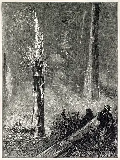 Arable: Burning a clearing in the woods, California 1884