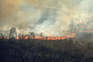 Everglades: Burning fields in the Florida Everglades ?