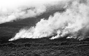 Peat: Burning peat, 1972