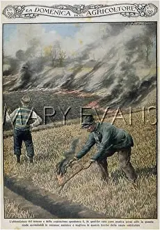 Nutrients: BURNING STUBBLE, ITALY