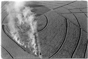Sugarcane: Burning of sugar cane crop to remove dried husks in