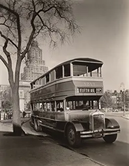 Berenice: bus - public transportation - NYC