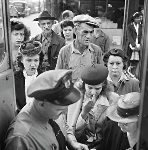 Bubley: bus - transportation - Greyhound