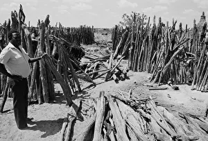 Swapo: Bush of Ghosts - Life and War in Namibia 1986-1990