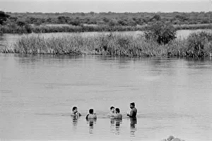 Cicadas: Bush of Ghosts - Life and War in Namibia 1986-1990