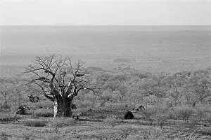 Flatland: Bush of Ghosts - Life and War in Namibia 1986-1990
