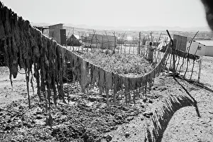 Intestines: Bush of Ghosts - Life and War in Namibia 1986-1990