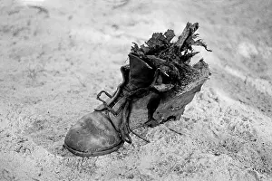 Indication: Bush of Ghosts - Life and War in Namibia 1986-1990