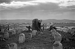 1908s: Bush of Ghosts - Life and War in Namibia 1986-1990