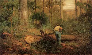 Sawing: Bush Sawyers