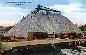 Shellfish: Bushels of oyster shells at Hampton, Virginia, USA