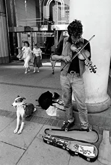 Fiddle: Busker with dogs, Cheltenham - 1