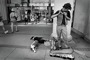 Fiddle: Busker with dogs, Cheltenham - 2
