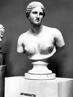 Aphrodite: Bust of Aphrodite
