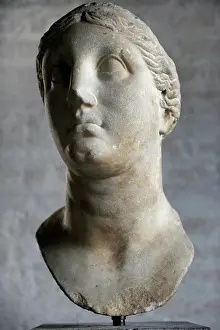 Ptolemy: Bust of Berenice II (ca. 269-221 BC)