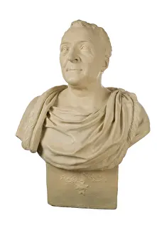 Linnaeus: Bust of Carl Linnaeus (1707-1778)