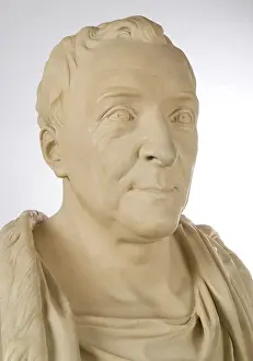 Linnaeus: Bust of Carl Linnaeus (1707-1778)