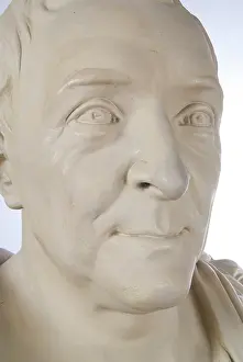 Linnaeus: Bust of Carl Linnaeus (1707-1778)
