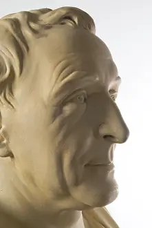 Linnaeus: Bust of Carl Linnaeus (1707-1778)
