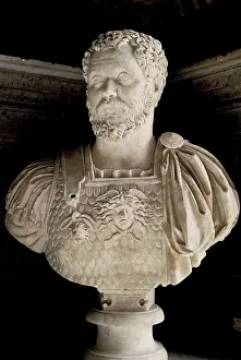 Septimius: Bust of Emperor Septimius Severus