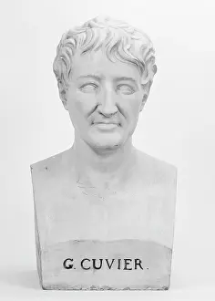 Cuvier: Bust of G. Cuvier