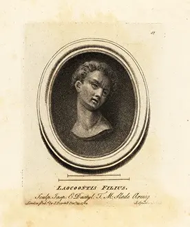 Greek Myth: Bust of one of Laocoon's sons
