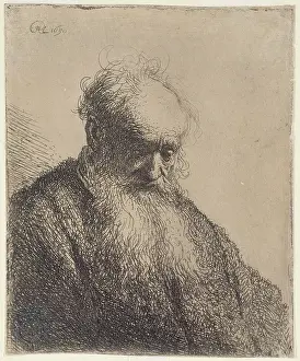 Beards: Bust of an old bearded man