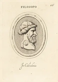 Chalcedony: Bust of an unknown Classical bearded philosopher