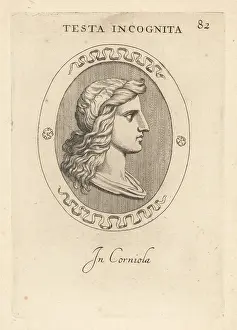 Abraham Blooteling: Bust of an unknown woman